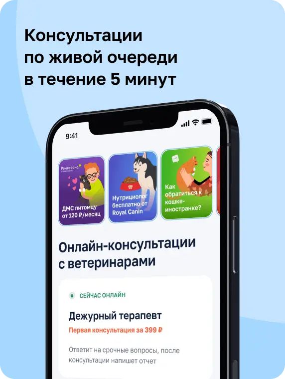 Консультации по живой очереди в течение 5 минут