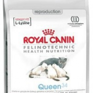 Royal Canin сухой корм для кошек всех пород в период лактации