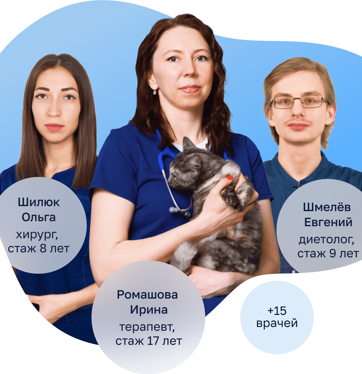 hero vet image